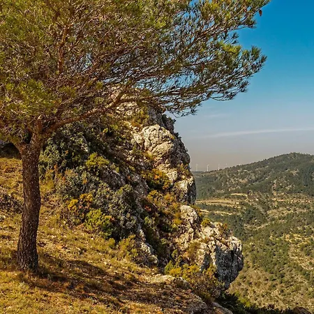 El Cipreret Villa Reiner